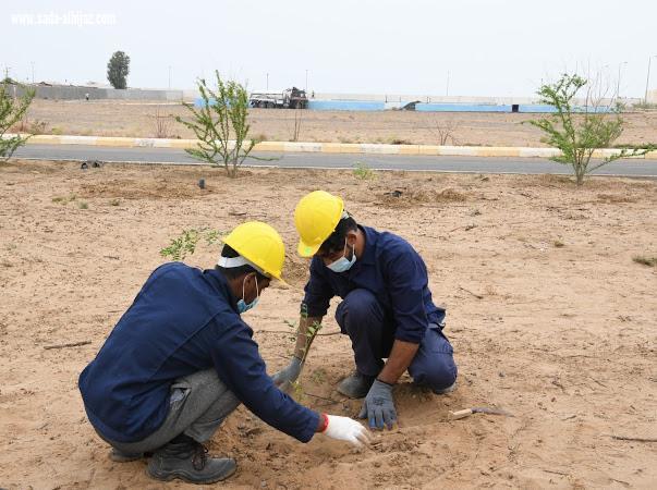 مياه جازان تزرع ٤٠٠٠ شتلة ضمن مبادرة 