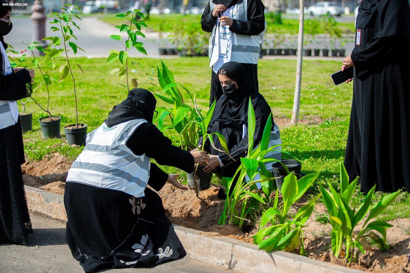 التطوع البلدي بتبوك: 785 متطوعًا و16,673 ساعة تطوعية خلال الربع الأول  