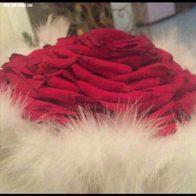 حدثوك فقالوا