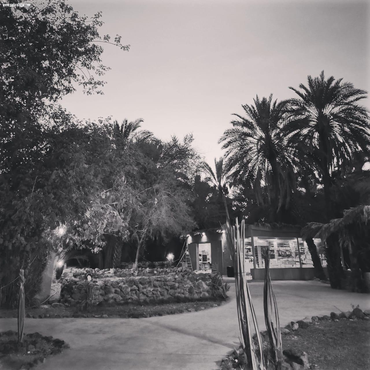 المرشد السياحي عبدالله بخاري:أناشد أهل المدينة أن يعرفوا تاريخهم ...