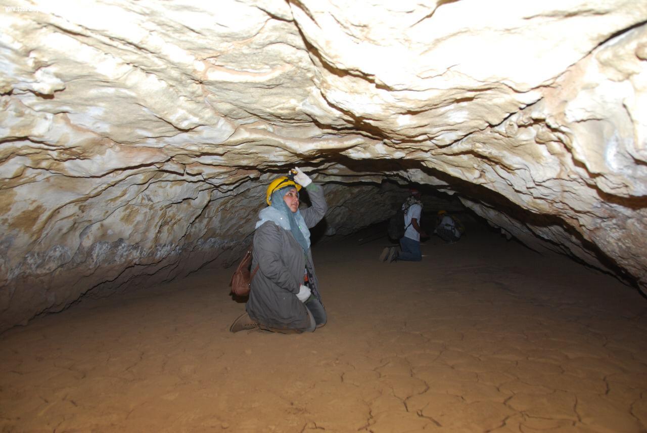 أكثر من 20مرشدا ومرشدة من فريق كهوف السعوديةينفذون رحلة أستكشافيةلكهف  ماكر الشياهين شمال  المدينة المنورة