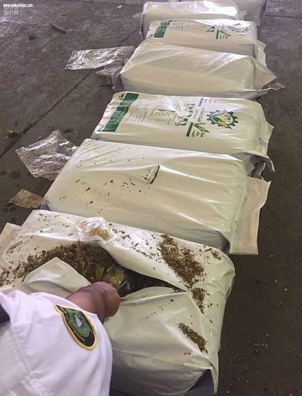 جمرك ميناء ضباء ينجح في إحباط محاولة تهريب قرابة مليون حبة كبتاجون  مخبأة داخل إرسالية أعلاف مستوردة