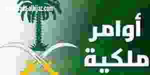 إعفاء رئيس هيئة المحتوى والمشتريات ونائب وزير التعليم للجامعات