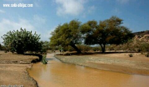 غرق طفل داخل مجرى وادي العقيق جنوب المدينة