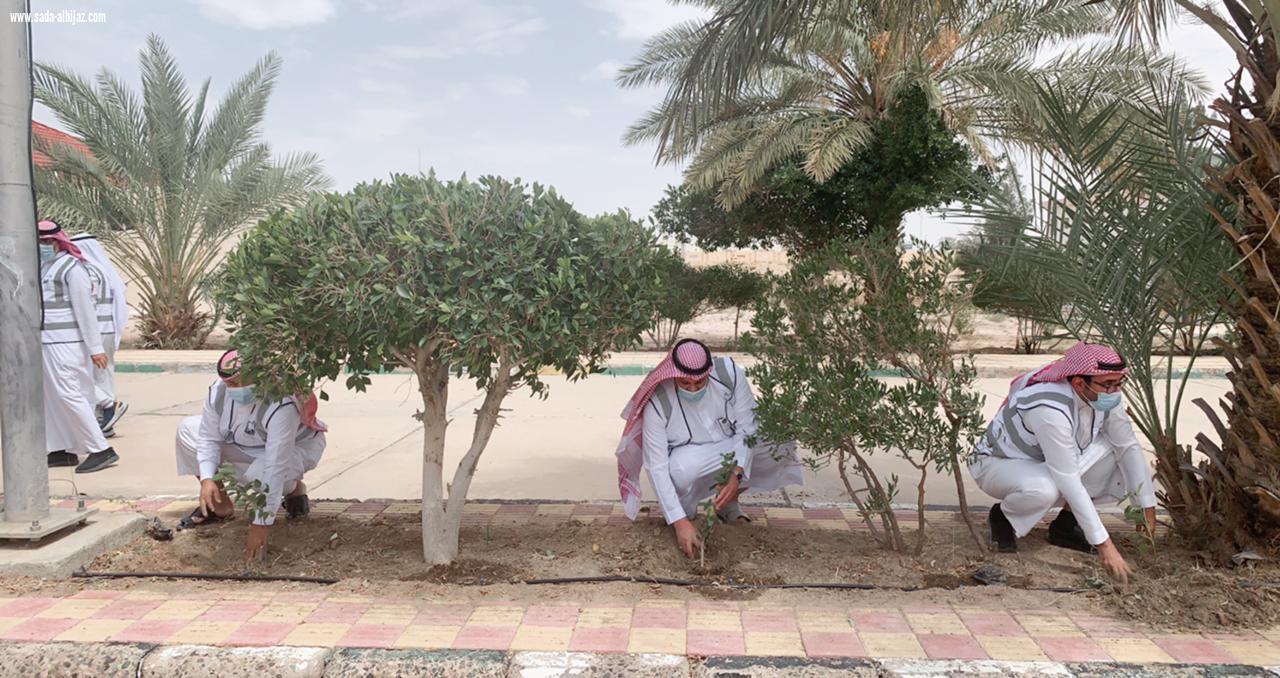مراكز الاحياء تكرم أبطال الصحة والحراسات الأمنية وتزرع (91) شتلة