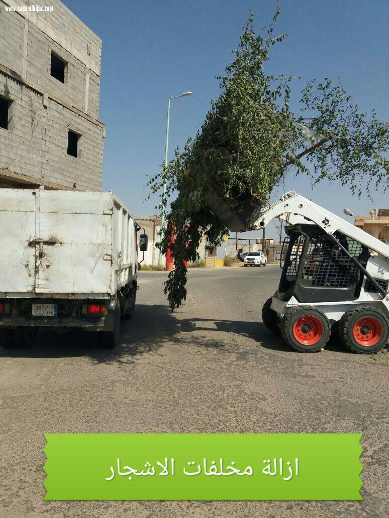 بلدية الموسم تكثف أعمالها في النظافة وازالة المخلفات ومكافحة الرش