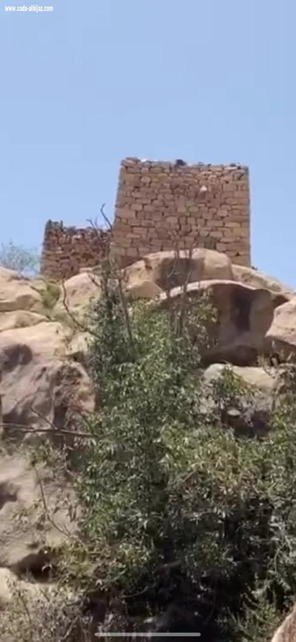 صفوف الحجاز في ضيافة الشاعر يوسف الثقفي ببلاد ثقيف