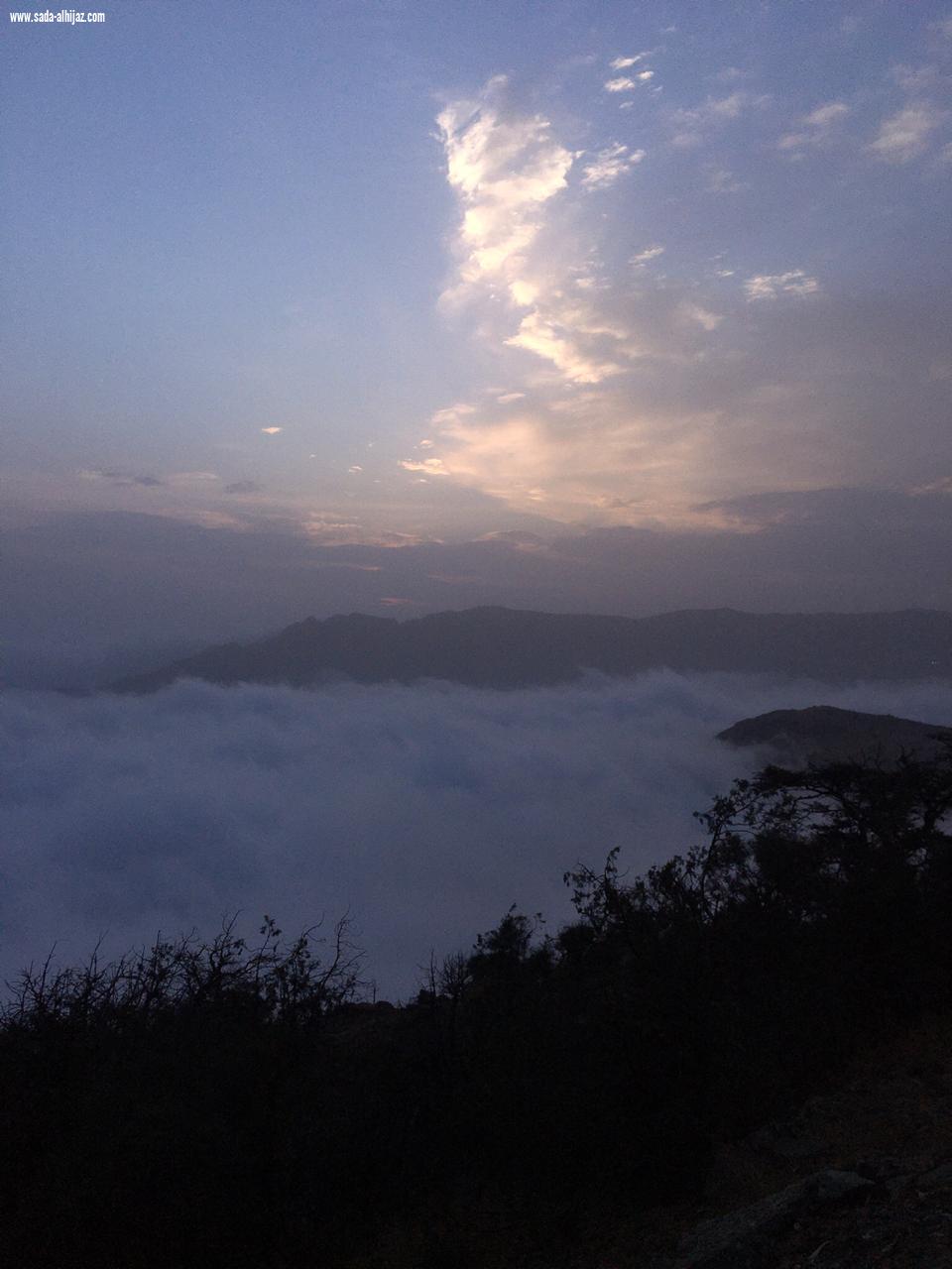 الباحة واحة الغناء و حديقة الحجاز...