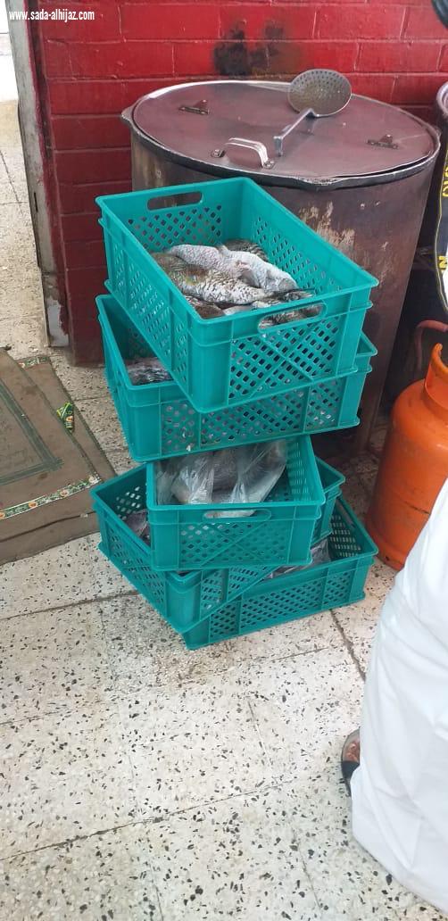 أمانة جدة تتلف 194 كيلو من الأسماك الفاسدة وتزيل بسط عشوائية بنطاق خزام