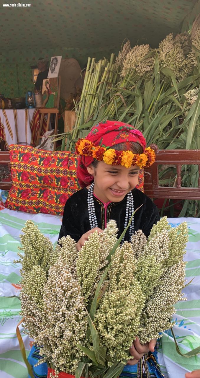 عذق  برنامج للاحتفاء بموسم الذرة الرفيعة بمحافظة ضمد