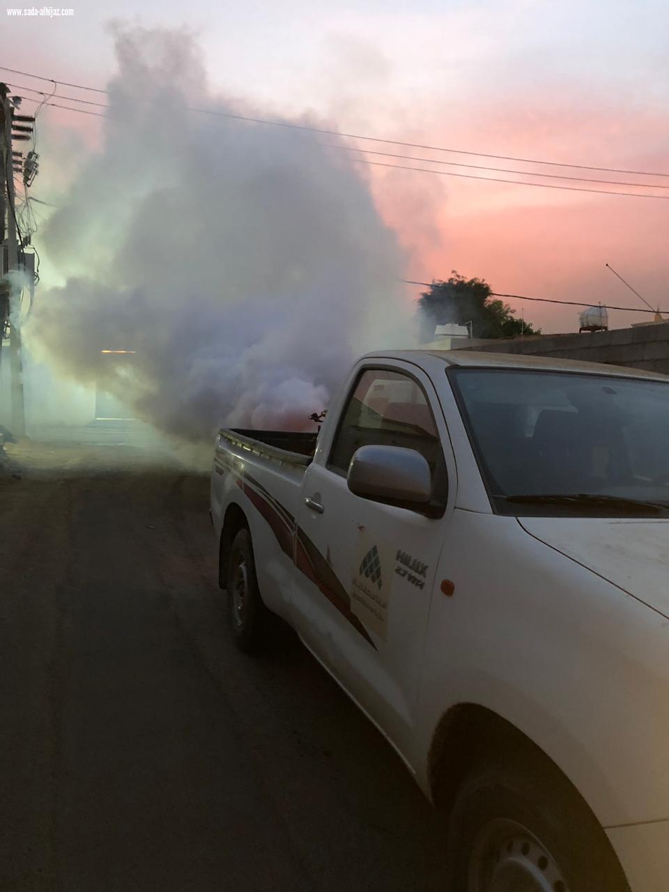 بلدية محافظة الطوال تكثف أعمال الإصحاح البيئي لمكافحة آفات الصحة العامة