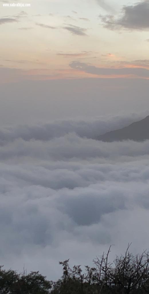 الباحة واحة الغناء و حديقة الحجاز...