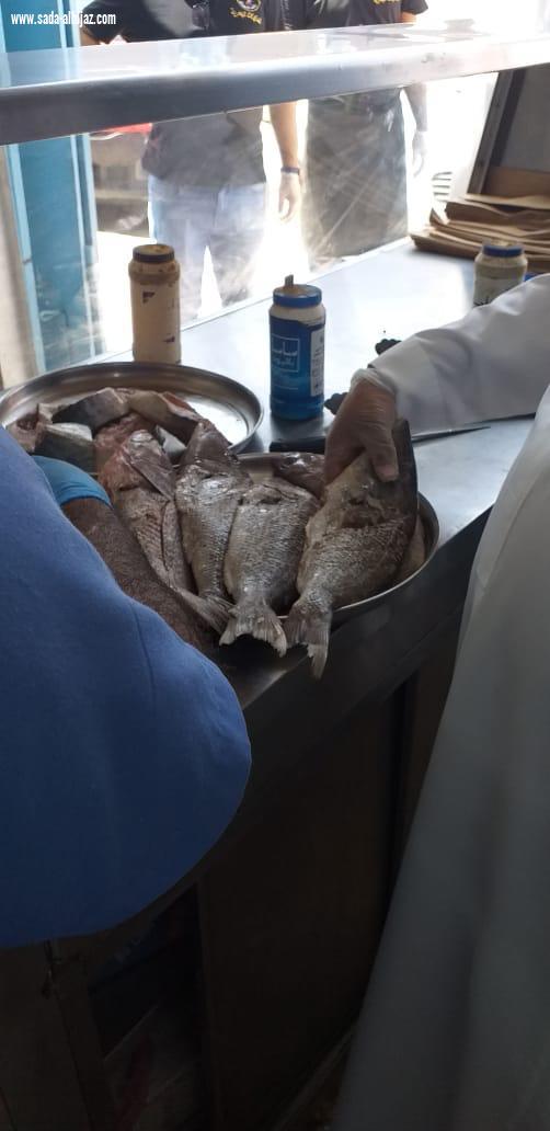 أمانة جدة تتلف 194 كيلو من الأسماك الفاسدة وتزيل بسط عشوائية بنطاق خزام