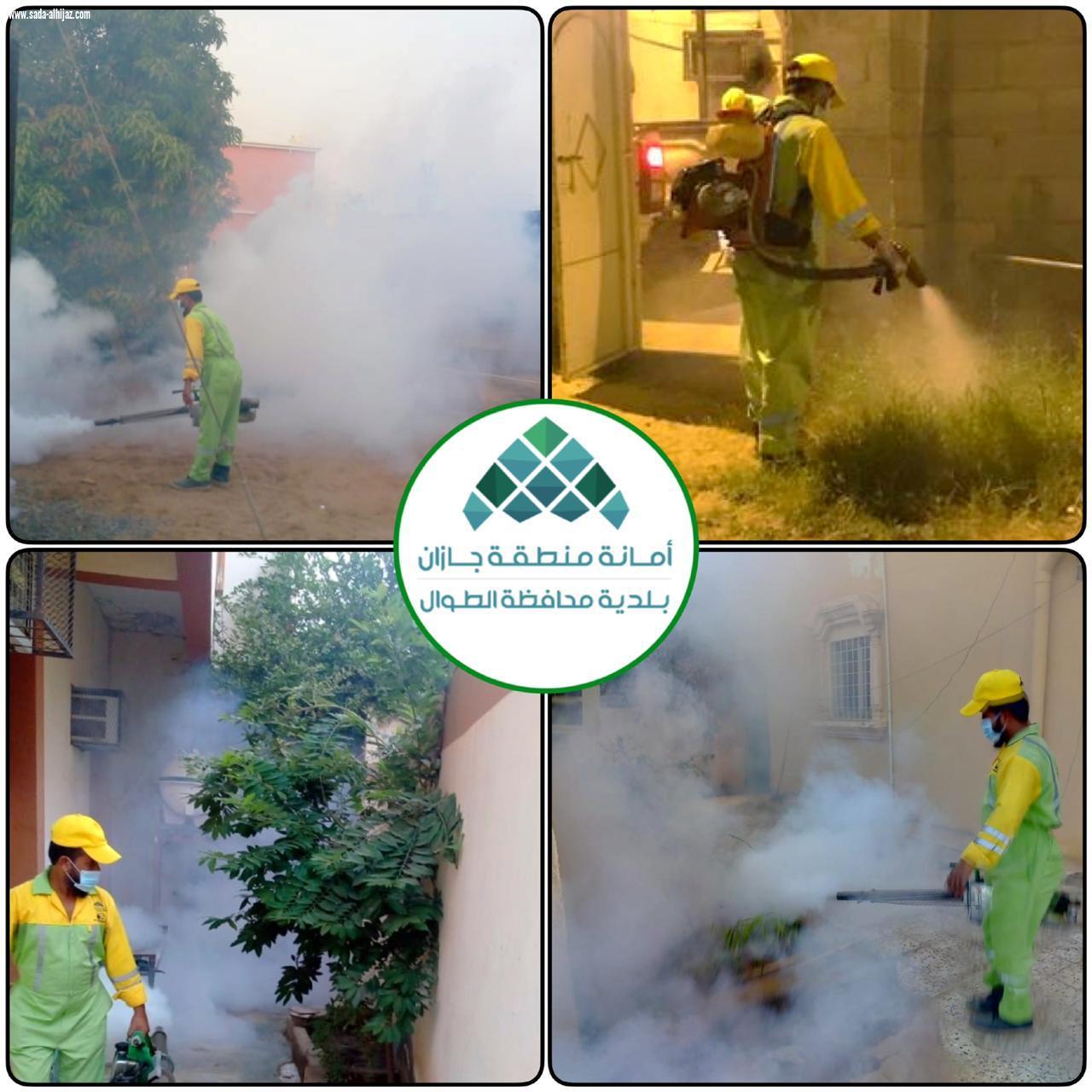 بلدية محافظة الطوال تكثف أعمال الإصحاح البيئي ومكافحة آفات الصحة العامة