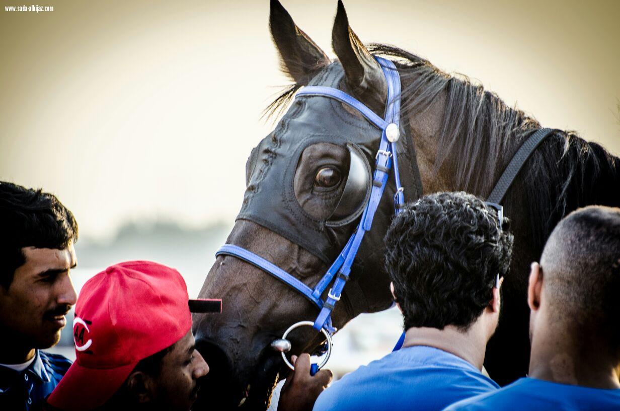 مسؤول إدارة الفعاليات بالمراعي فهد الشمري يوزع الكؤوس على  الفائزين في فروسية جدة 