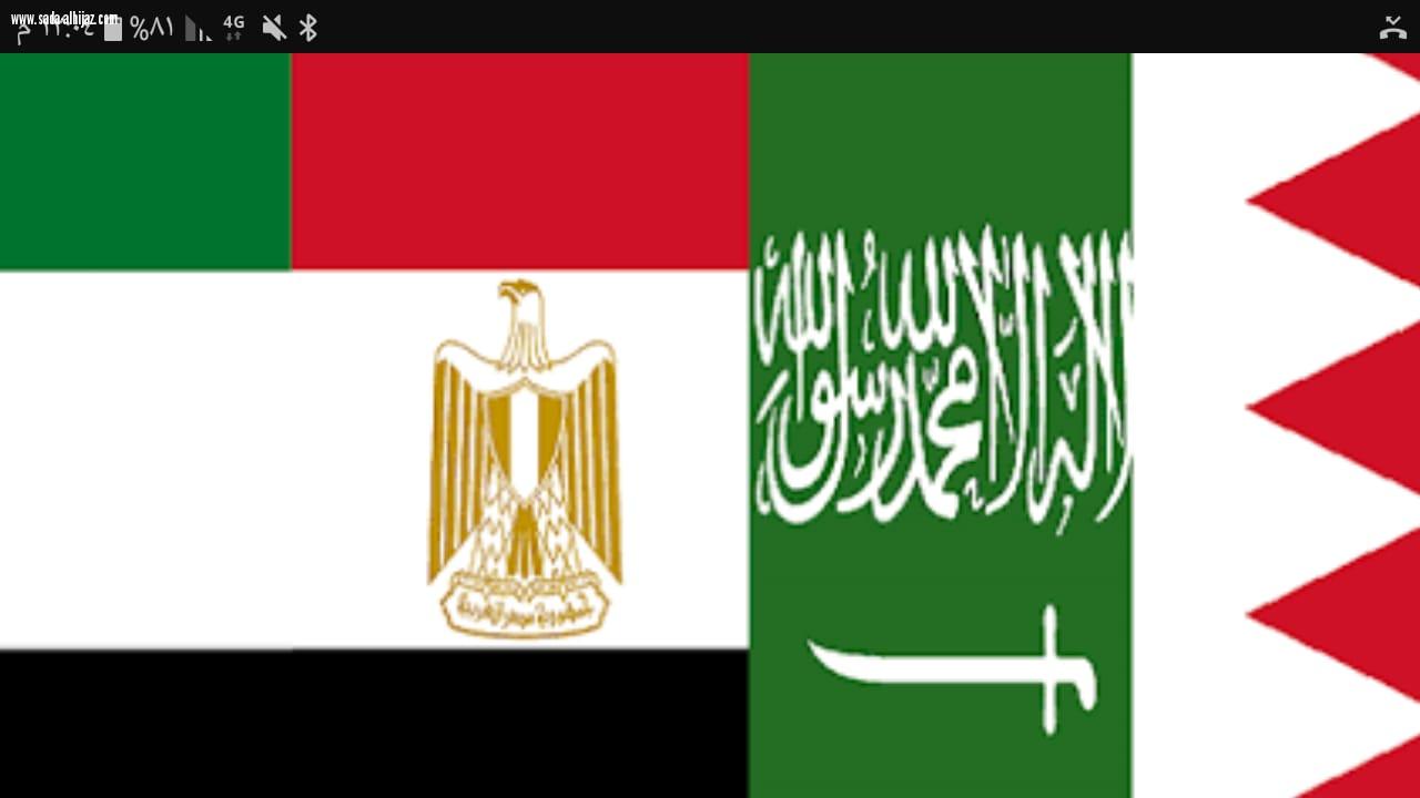 مشاركة سعودية وسط تعاون مصري إماراتي في مجال التدريب الرياضي في دورتها الأولى 