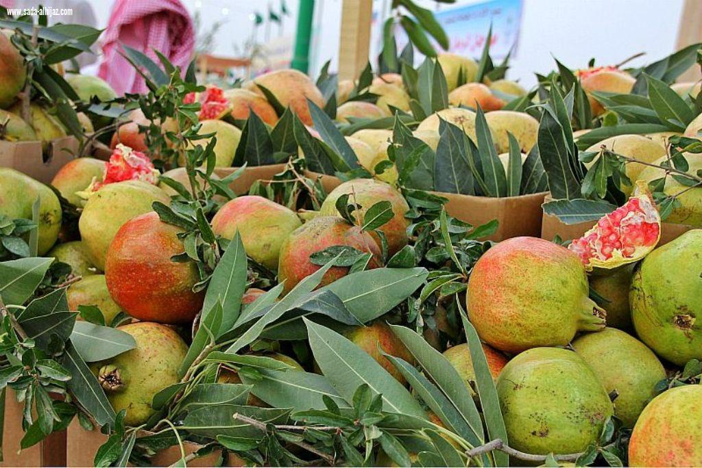 *ينطلق في العشرين من الشهر الجاري تحت رعاية امير منطقة الباحة*