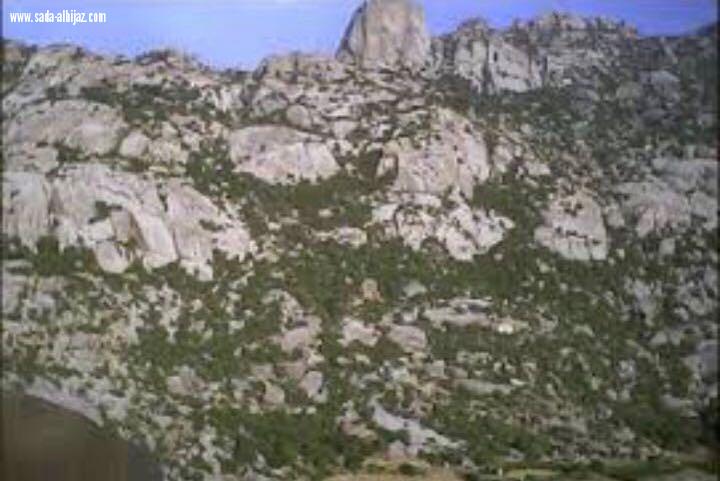 فعالية الهايكنج الأول بمحافظة ميسان بمركز القريع بني مالك