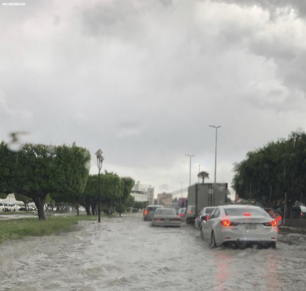 أمطار الطائف الغزيرة تهوي بدرجات الحرارة إلى 11 درجة