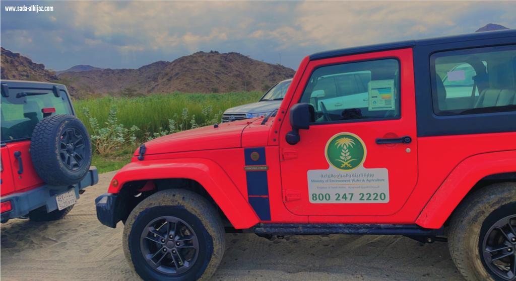 (الليث  تدعوكم لنساهم في نثر البذور ونكن جزء من التغيير) 