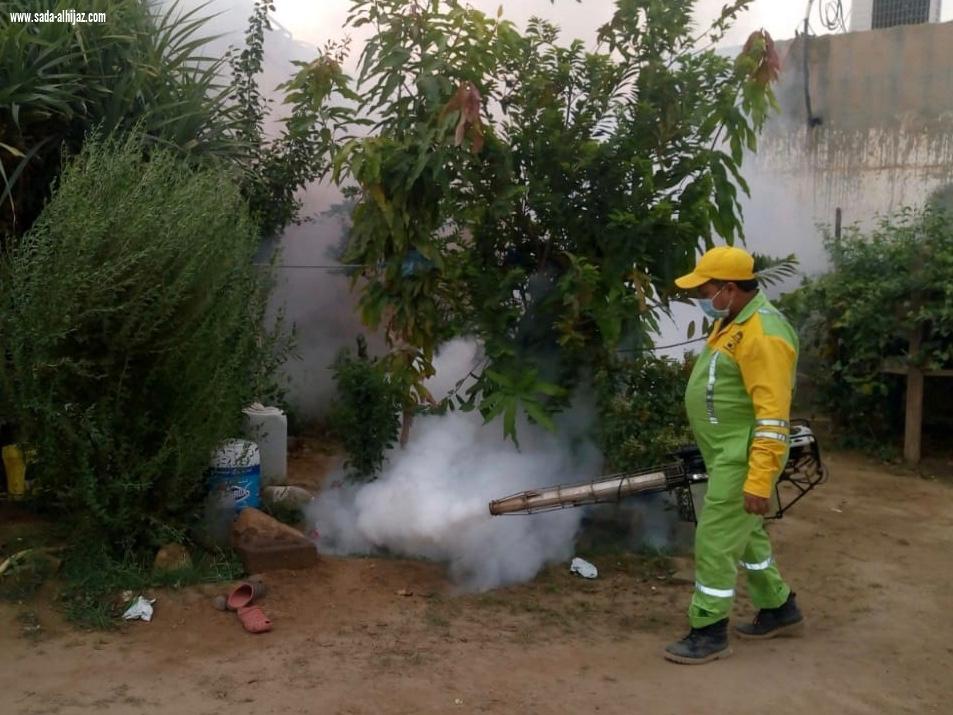 بلدية محافظة الطوال تكثف أعمال الإصحاح البيئي لمكافحة آفات الصحة العامة