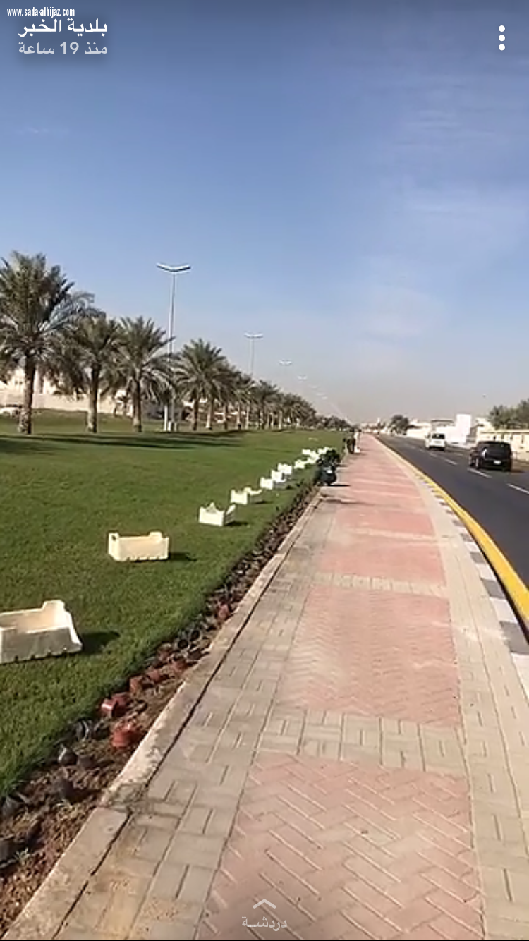 بلدية الخبر تزين مدينتها بالاشجار والورود 