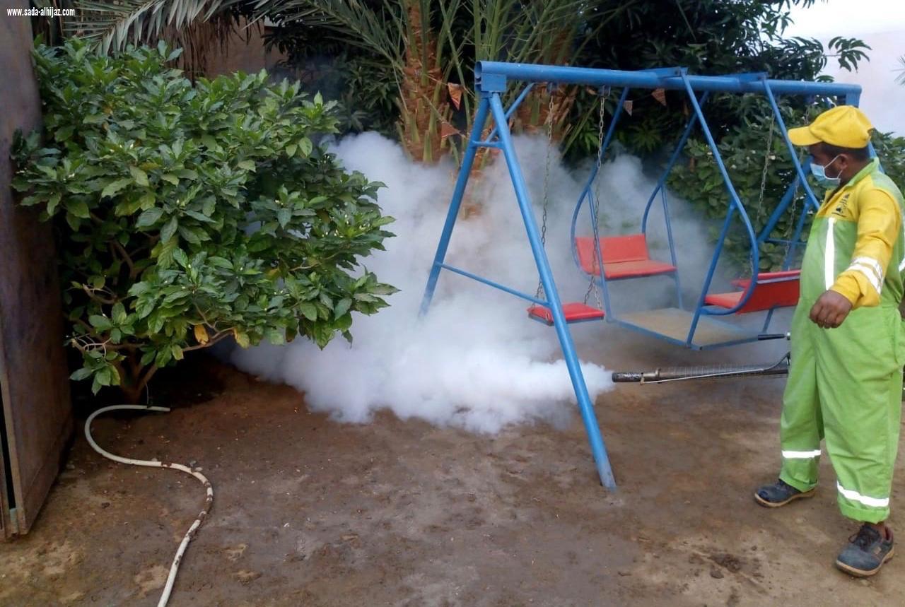 بلدية محافظة الطوال تكثف أعمال الإصحاح البيئي لمكافحة آفات الصحة العامة