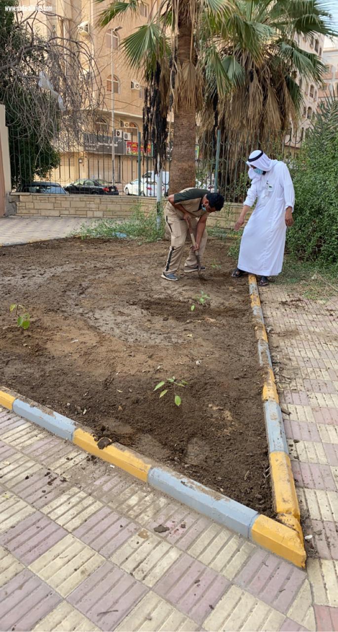زراعة عشرات الاشجار والشتلات في محيط المراكز الصحية بجدة