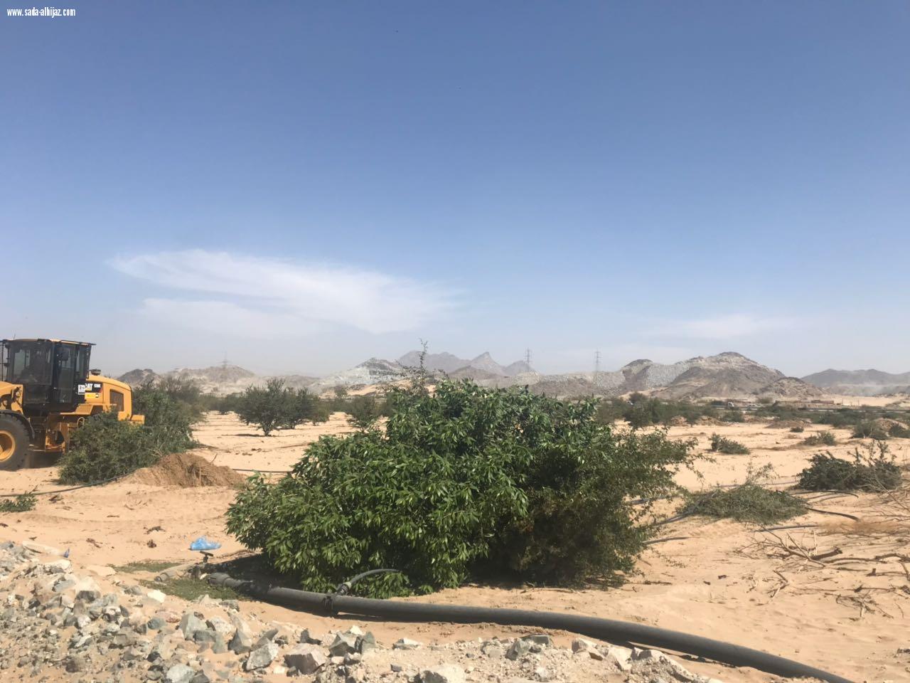 أمانة العاصمة المقدسة  ازالت تعديات أكثر من (20)كلم  من مكة المكرمة