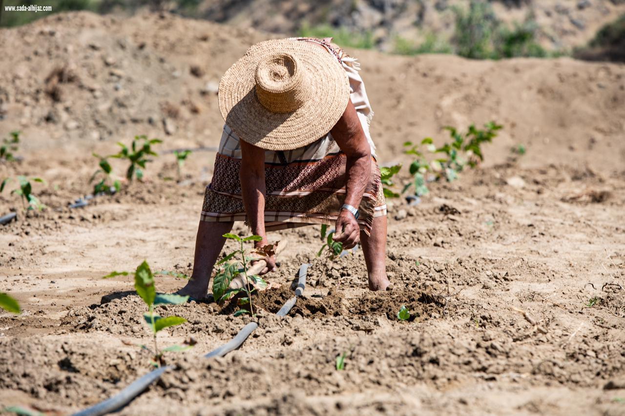 بالصورالبن الخولاني في الداير تاريخ من الأصالة عمره أكثر من 8 قرون 