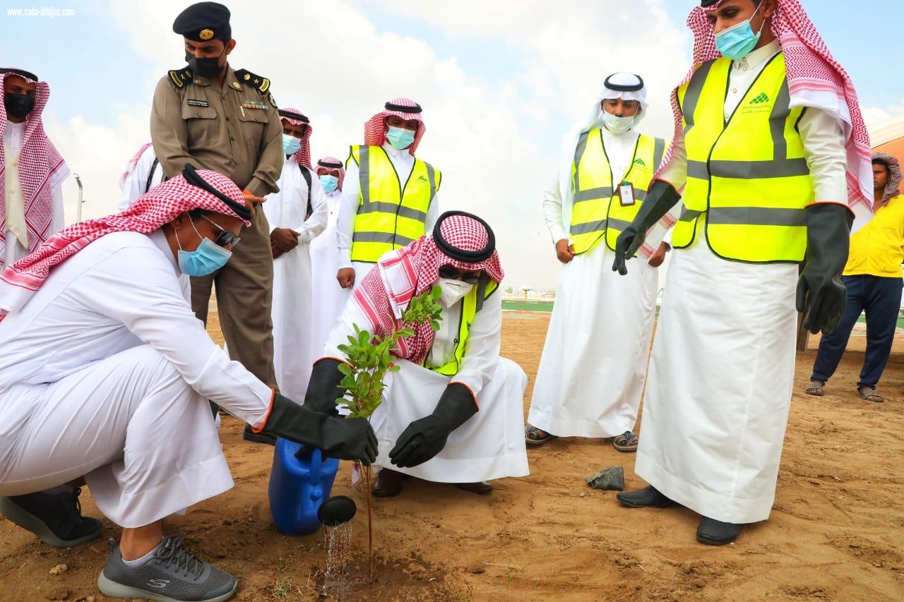 غرس 200 شتلة ومعالجة التشوهات البصرية برعاية التركي بلدية مركز القفل تطلق عدة مبادرات وأنشطة تزامناً مع اليوم العالمي للتطوع 2020م