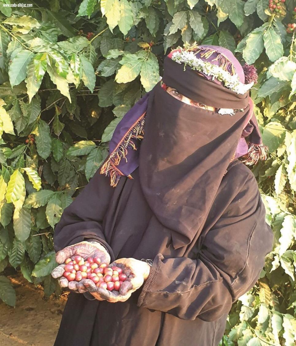 جميلة المالكي أول مُزارعة للبُن الخولاني بجبال الداير بني مالك 