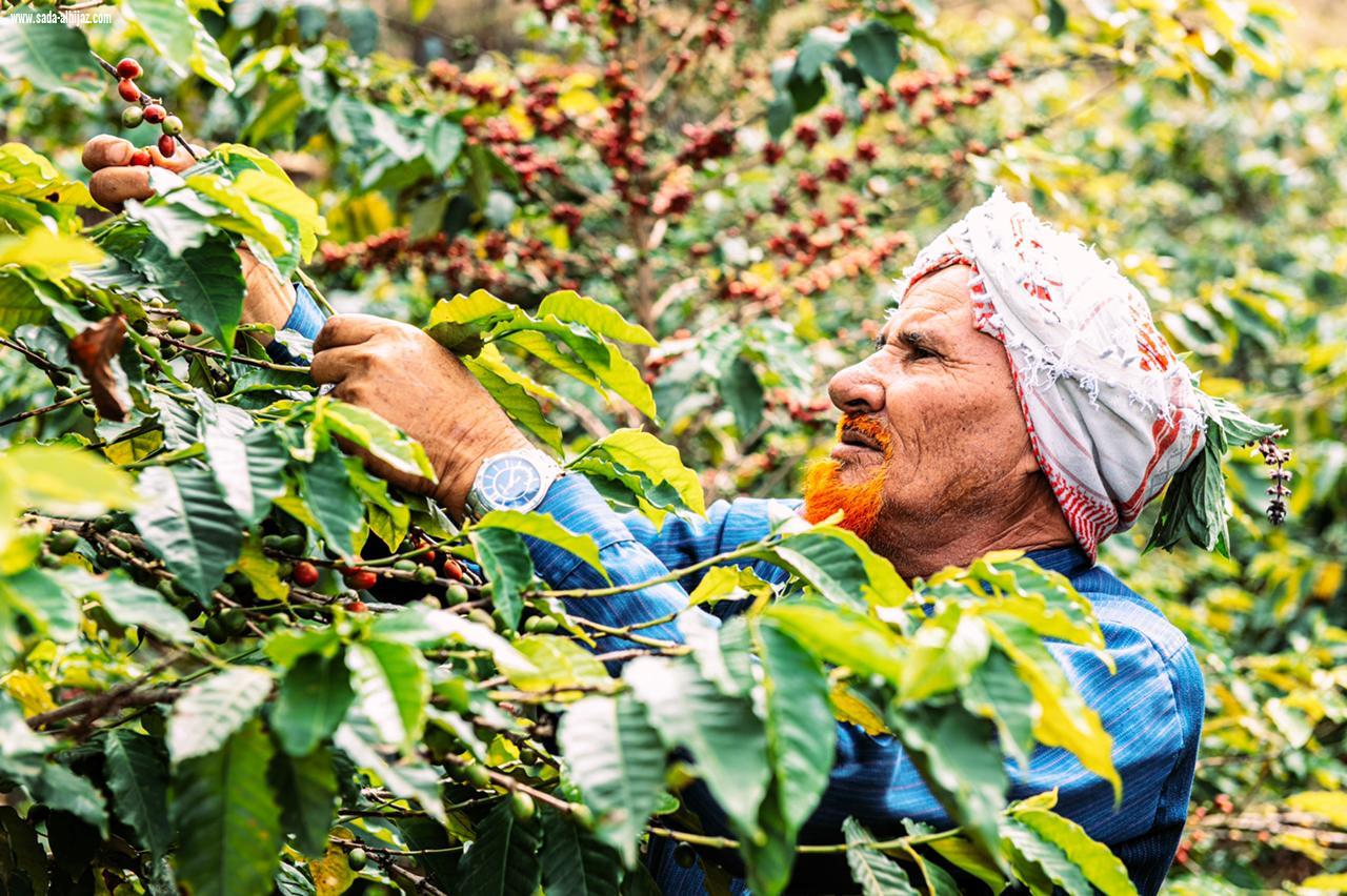 بالصورالبن الخولاني في الداير تاريخ من الأصالة عمره أكثر من 8 قرون 