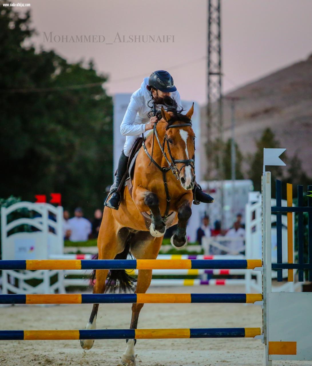 فعاليات مصاحبة وجوائز للمشاركين في بطولة الفرسان المحترفين الأولى لقفز الحواجز والتي تنطلق اليوم بالرياض