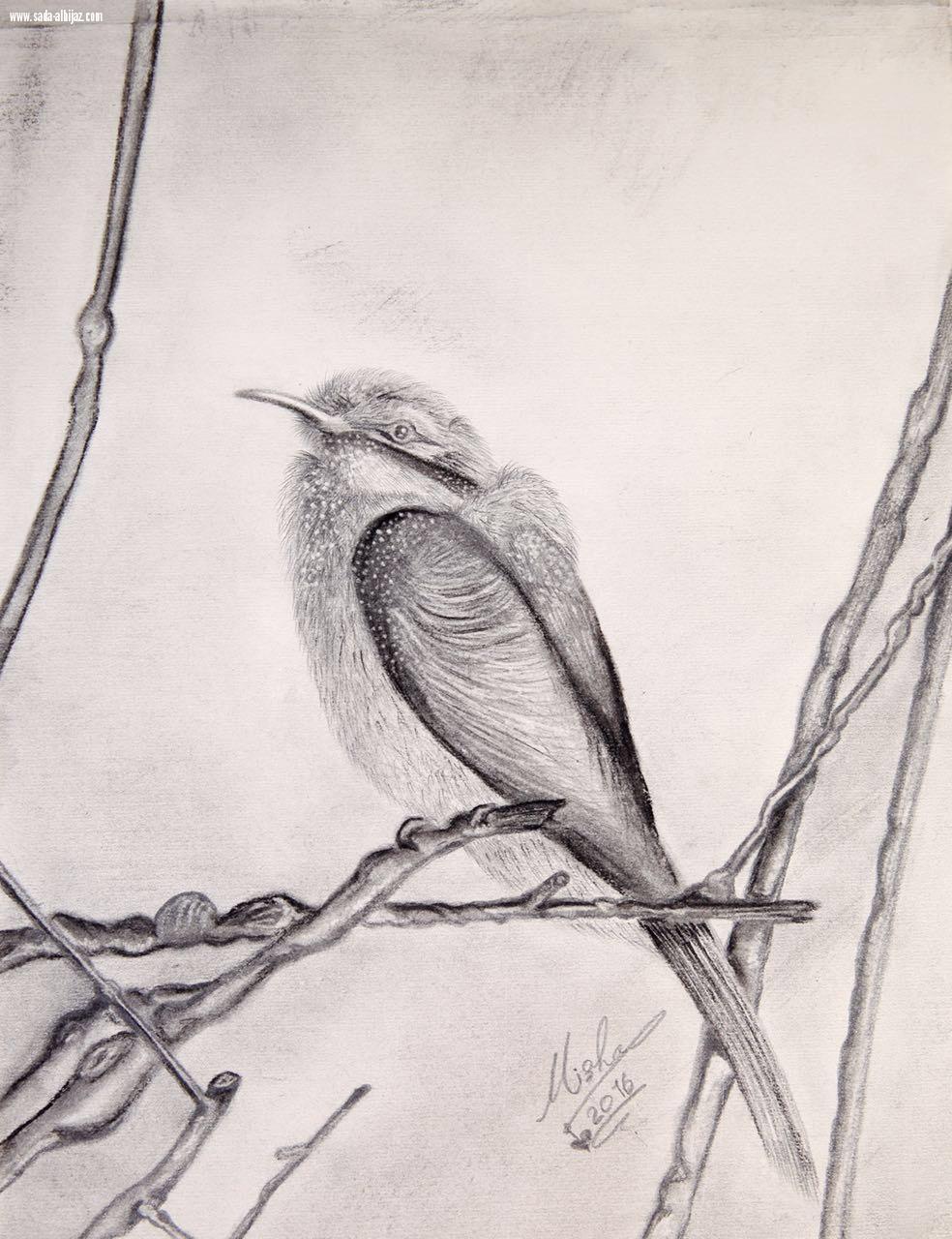 لقاء خاص مع الفنانه مشاعل فهد المطيري