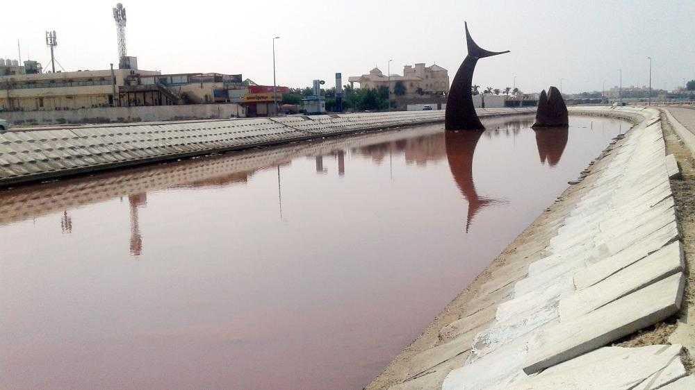 علاقة تغير لون الماء بالصدأ فتون الصائغ تحذر السباحين طحلب سام في بحيرة السمكة