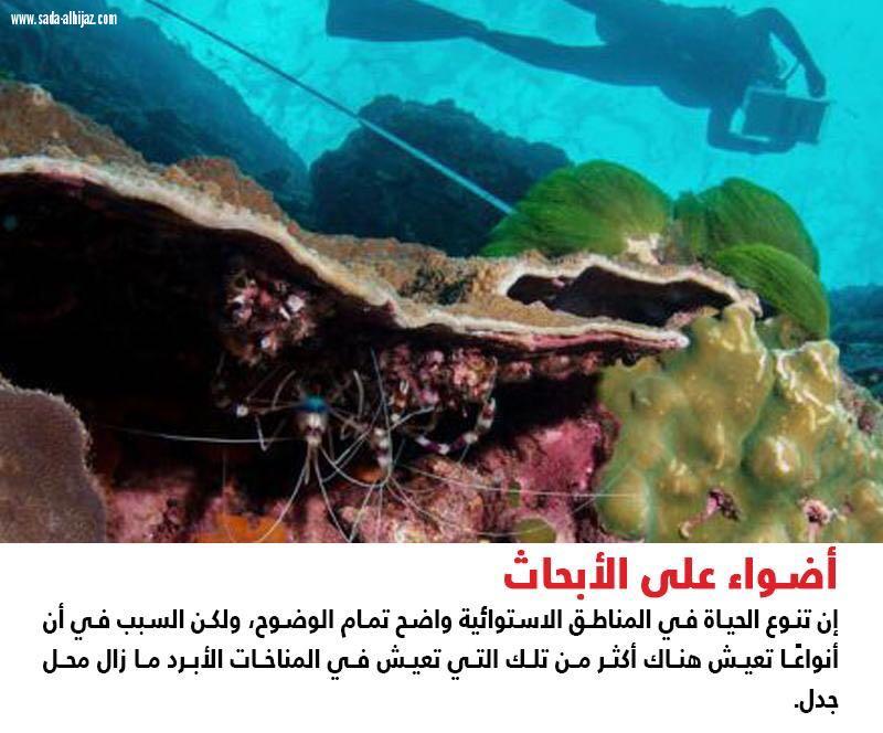 علم البيئة أنماط التنوع الحيوي العالمي