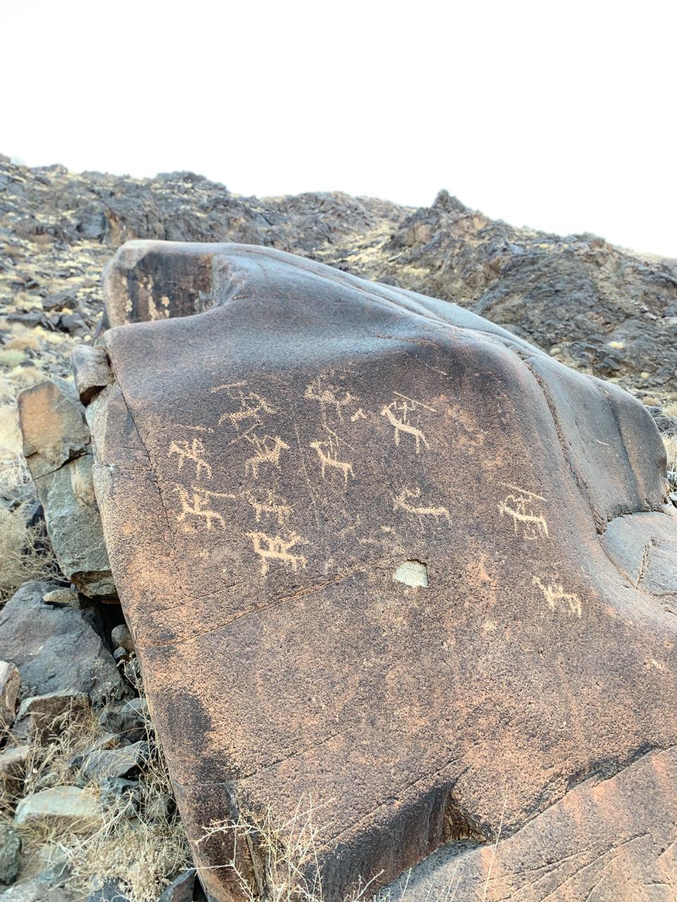 ( بالصور.. نقوش ورسوم صخرية تروي حضارة ديار فهم قديماً )