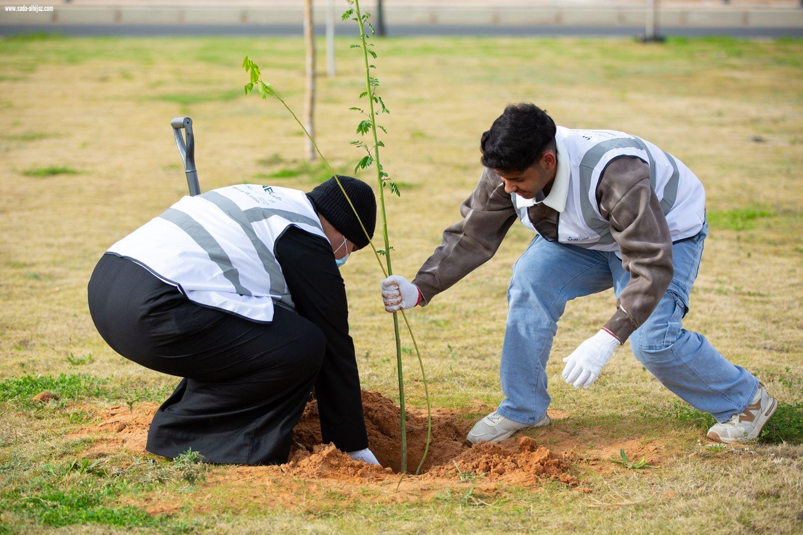 التطوع البلدي بتبوك: 785 متطوعًا و16,673 ساعة تطوعية خلال الربع الأول  