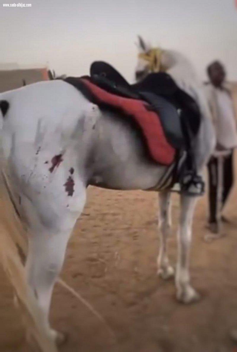 القبض على معتدي الخيل بجده