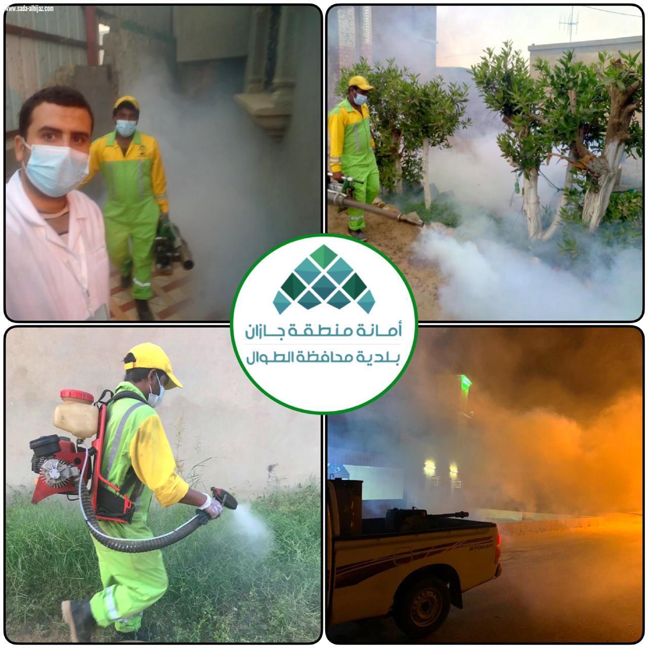 بلدية محافظة الطوال تكثف أعمال الإصحاح البيئي ومكافحة آفات الصحة العامة