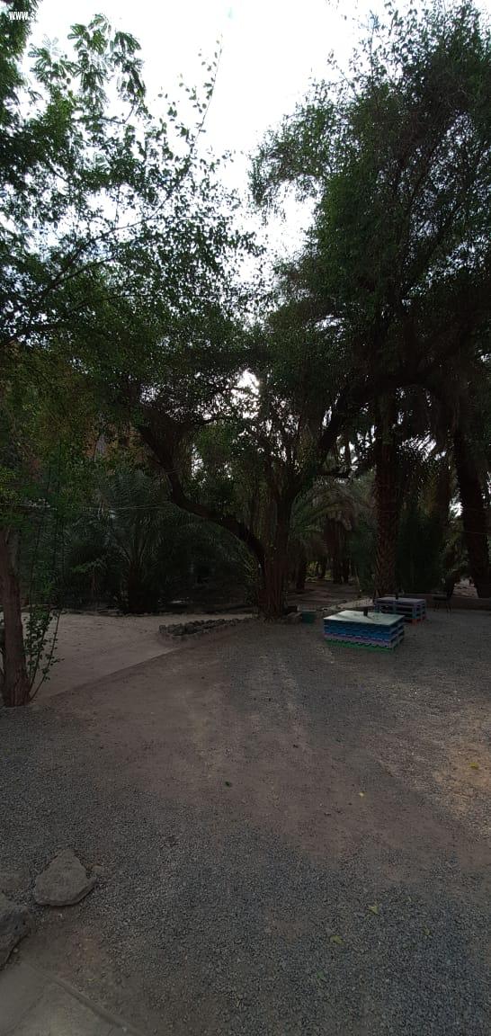 المرشد السياحي عبدالله بخاري:أناشد أهل المدينة أن يعرفوا تاريخهم ...