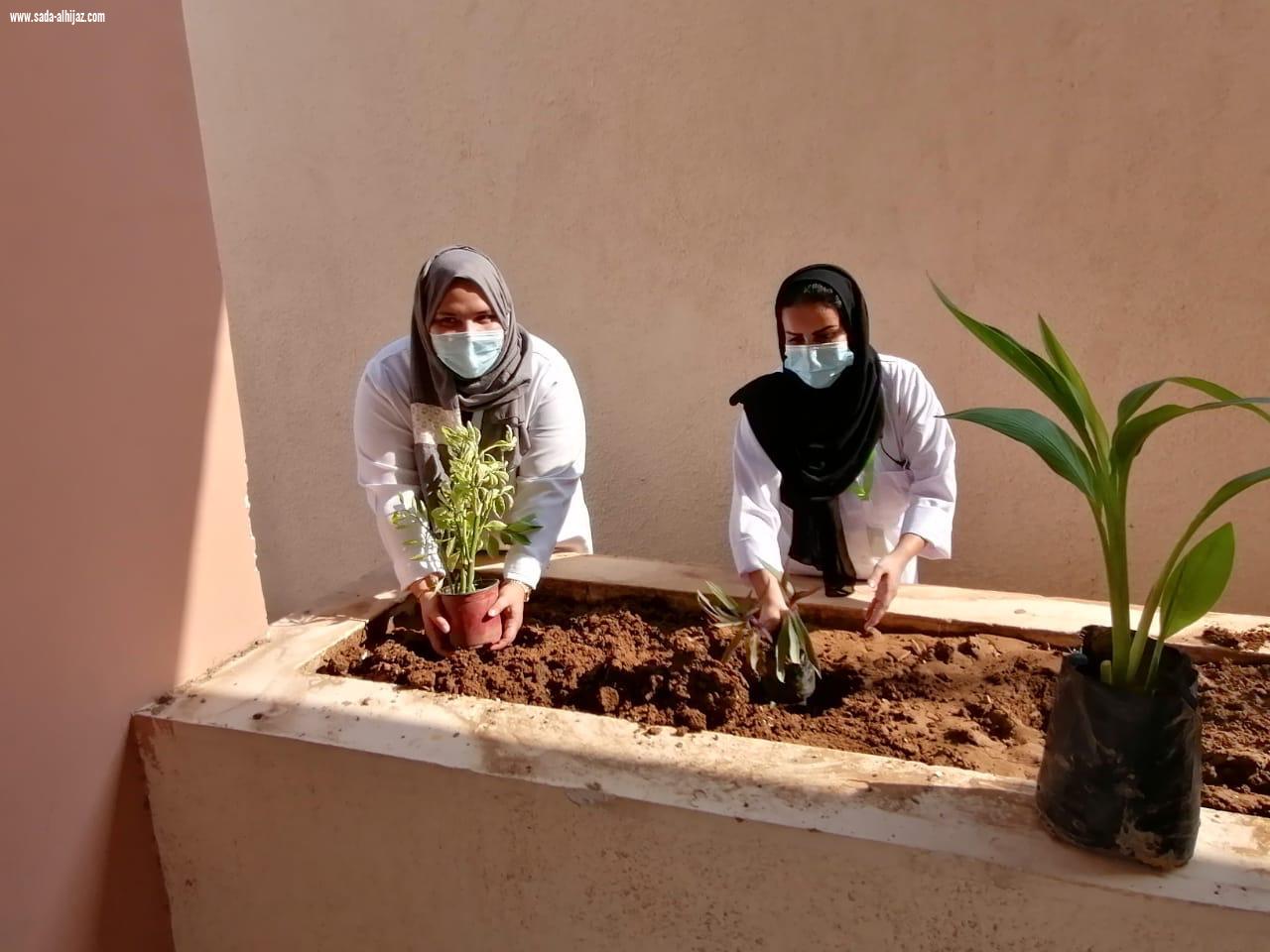 زراعة عشرات الاشجار والشتلات في محيط المراكز الصحية بجدة
