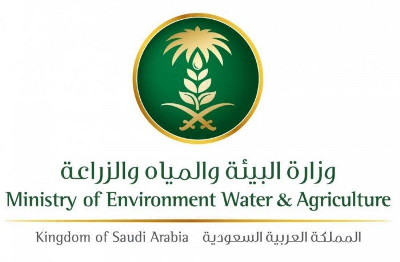 بدأت البيئه بتطبيق اللائحة التنفيذية للتصاريح