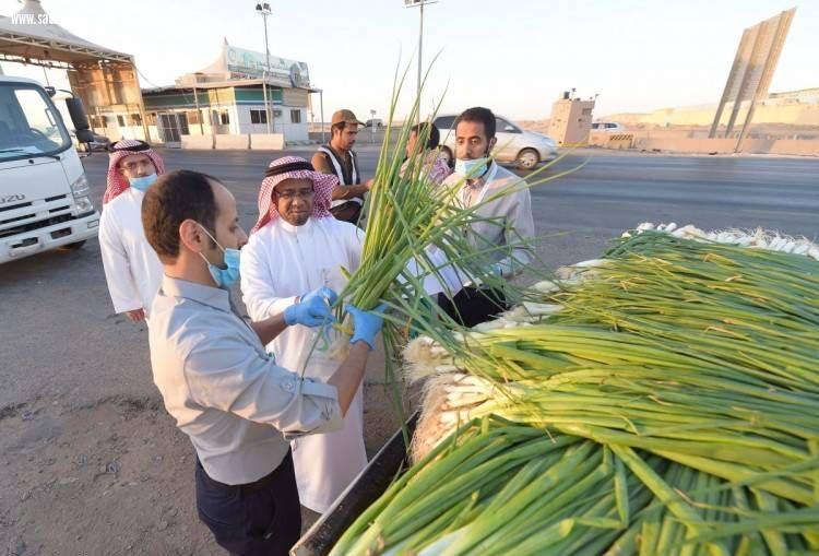 الغذاء والدواء تسحب عينات خضار وفواكه واردة من المزارع محلية