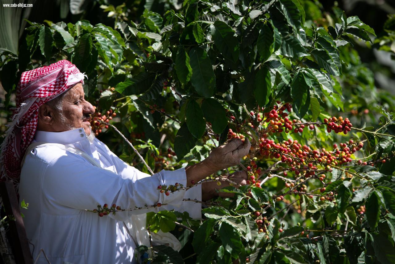 بالصورالبن الخولاني في الداير تاريخ من الأصالة عمره أكثر من 8 قرون 