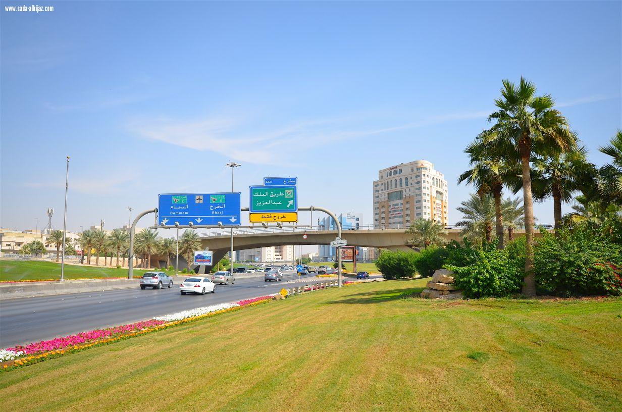 أمانة الرياض تزين ميادينها وطرقها بأكثرمن 5 ملايين زهرة
