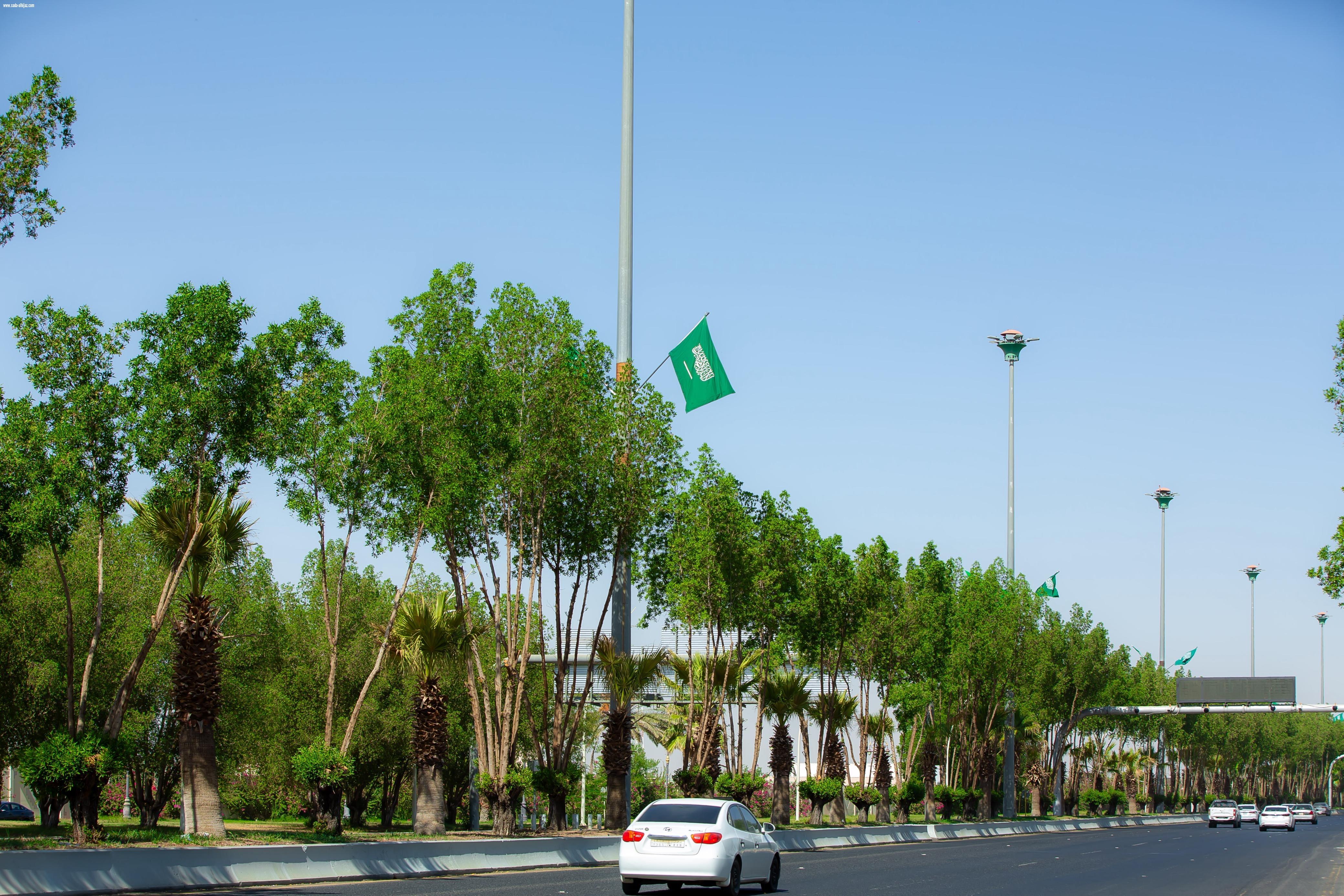 تبوك تتوشح بـ8000 آلاف علم وتحتفي بالوطن بأكثر من 50 فعالية متنوعة