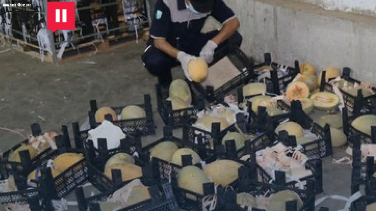 الجمارك تحبط تهريب 570,520 حبة كبتاجون داخل إرسالية شمام