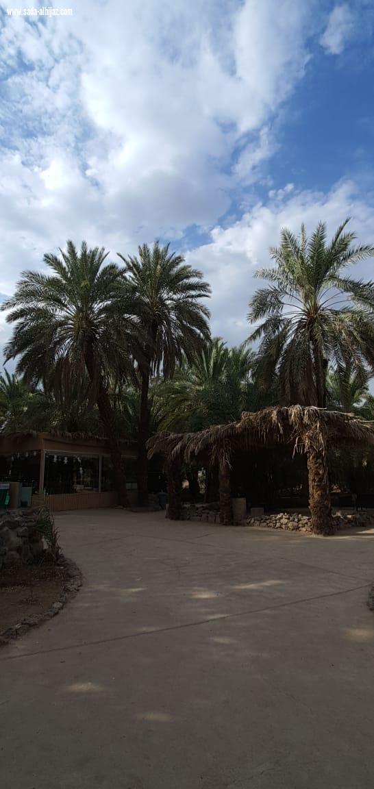 المرشد السياحي عبدالله بخاري:أناشد أهل المدينة أن يعرفوا تاريخهم ...